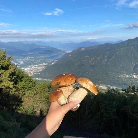 Casa Dello Scoiattolo Immersa Nel Con Vista * Casale Corte Cerro