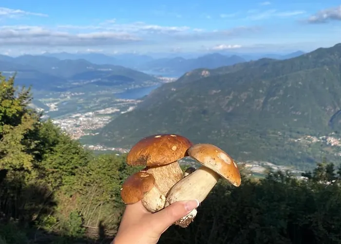 Casa Dello Scoiattolo Immersa Nel Con Vista * Casale Corte Cerro
